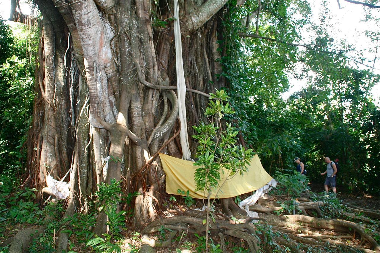 Rumah Kita Lovina  Exterior photo